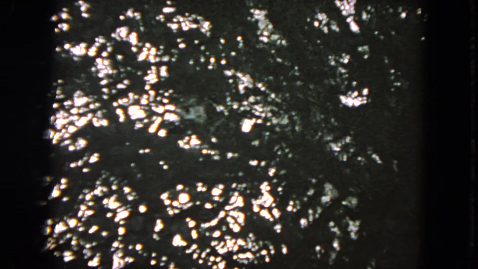 The camera turns down to shimmering bay water, with bright reflections and dark 8mm frame borders visible.