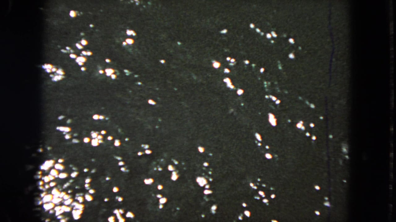 Dark water surface with bright highlights and a small disturbance near the upper area.