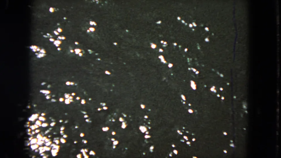 1963 San Francisco 8mm frame with reflective water and a small surface disturbance that may be the fish movement.