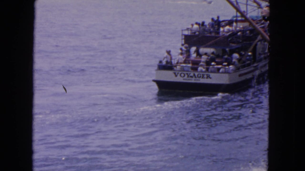 Tour boat with passengers seen from a distance on open water.