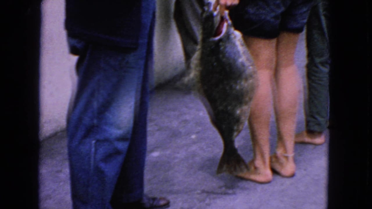 1963 San Francisco dock scene with a large flat fish carried past barefoot people in handheld 8mm footage.
