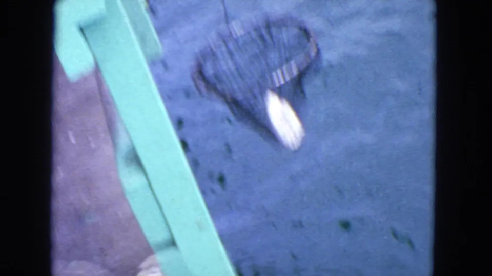 1963 San Francisco 8mm frame of a landing net with a small catch near the edge of the water and dock structure.