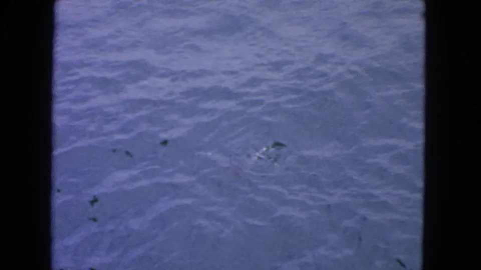 1963 San Francisco home-movie frame showing rippling water below a bridge or railing structure, with no people visible.