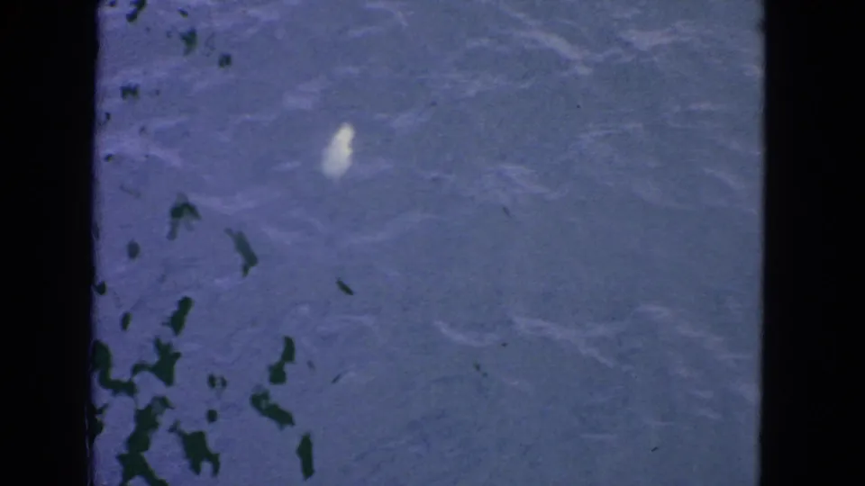 1963 San Francisco home-movie still showing rippling water, scattered dark debris, and a small bright surface disturbance below a bridge view.
