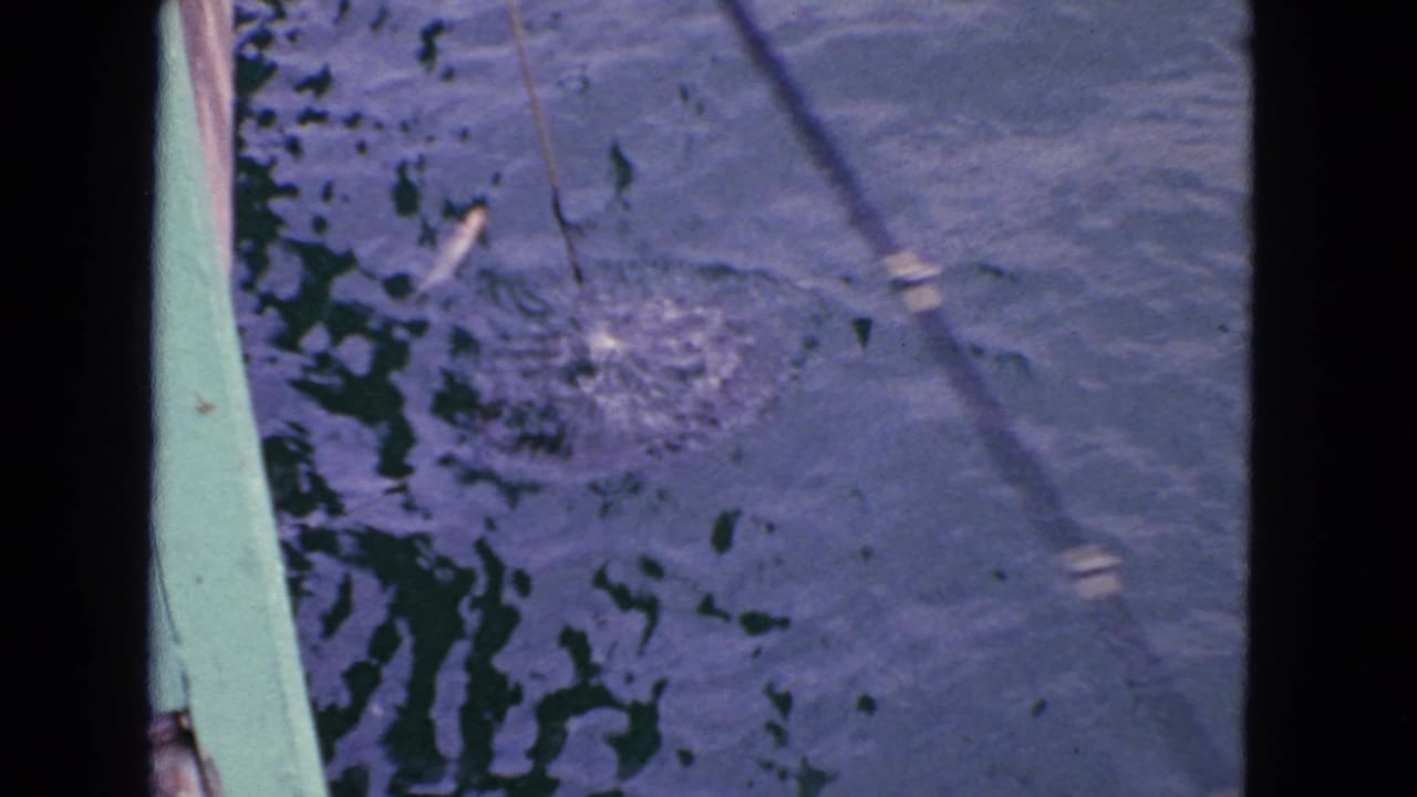 Rippling water beside a green boat edge, with a fishing line or pole shadow crossing the frame.