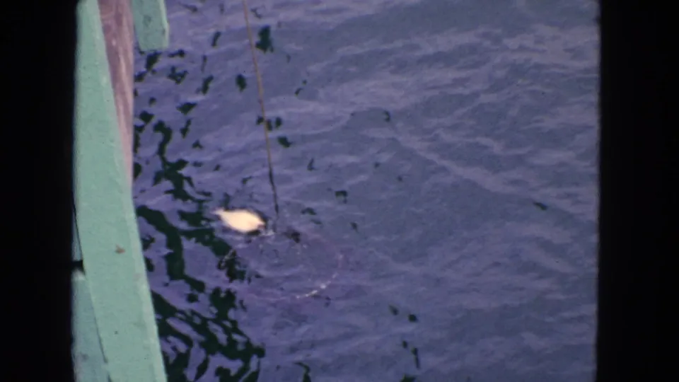 1963 8mm frame showing a fishing line or cord and pale float or lure near the water beside a green boat rail.