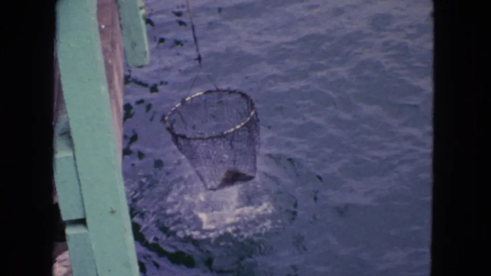 1963 San Francisco area 8mm frame showing a fishing net in the water beside a green boat edge, with visible splashes.