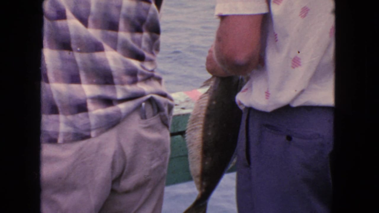 Two men on a pier hold a large fish near the water.
