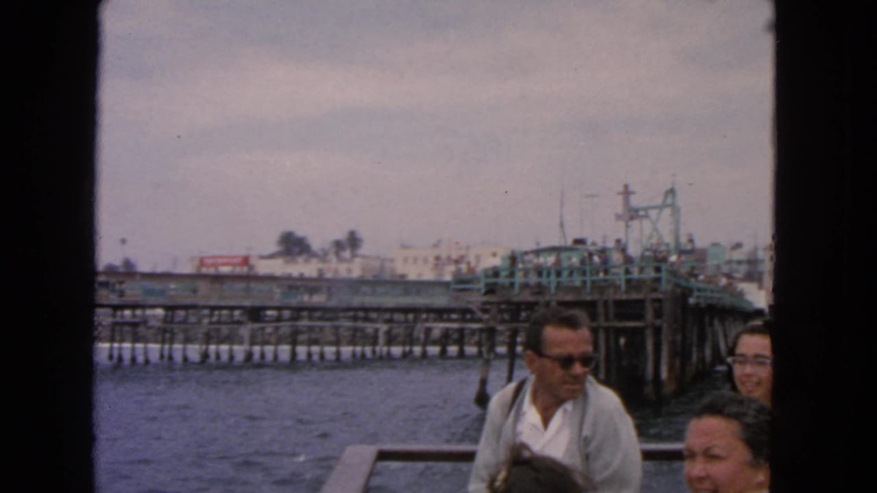 Boat passengers pass in front of a pier with water and buildings beyond.