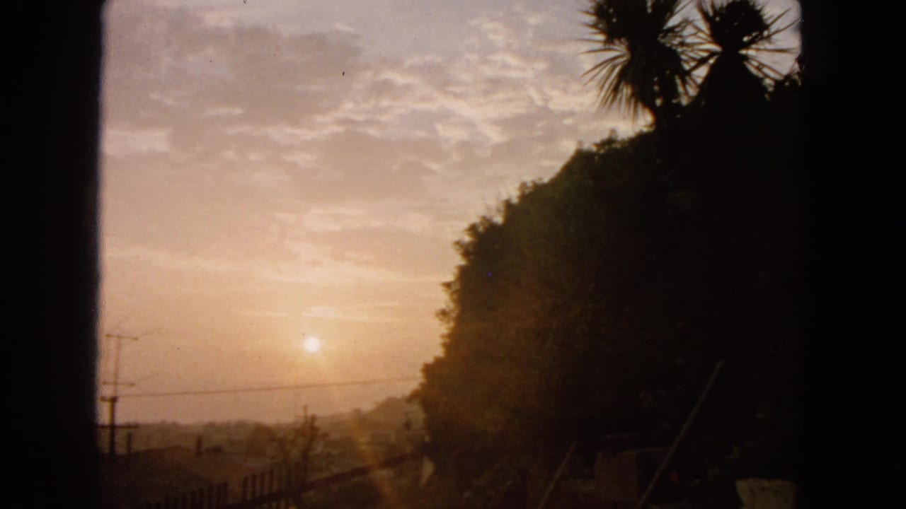 Warm sunset sky with silhouetted hillside, palm-like foliage, utility pole, and wires.