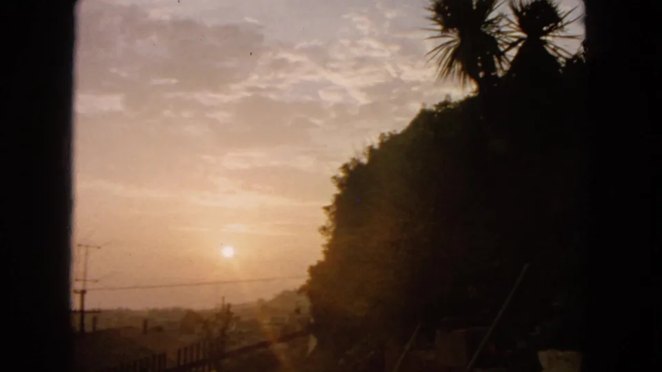 1963 8mm San Francisco sunset scene showing warm haze, silhouetted hillside vegetation, palm-like leaves, a utility pole, and wires.