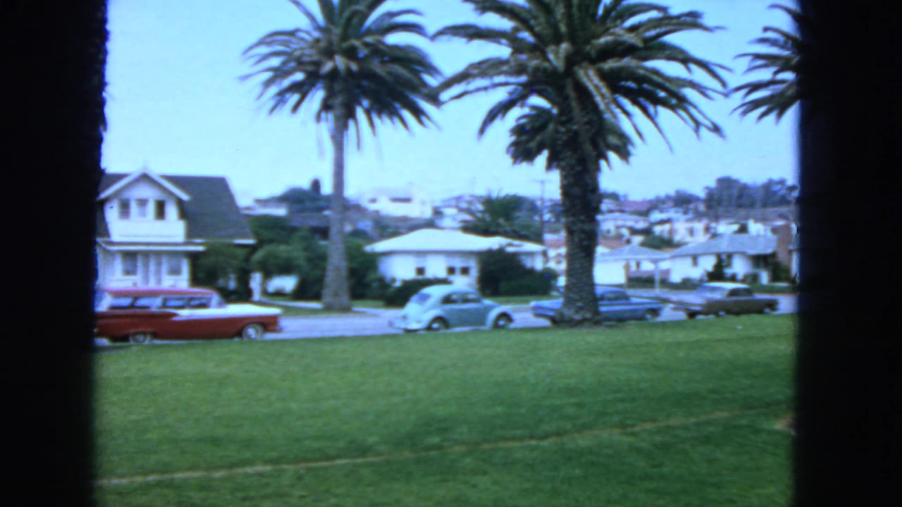 Palm trees, lawn, houses, and parked cars viewed through dark window-frame edges.