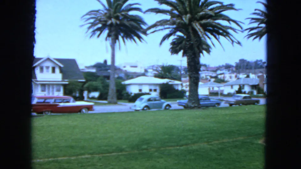 1963 San Francisco residential street with palm trees, a green lawn, houses, and parked cars seen through a dark window frame.