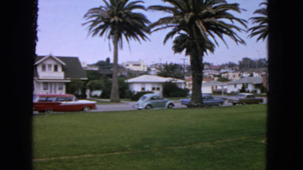 1963 San Francisco neighborhood view with palm trees, houses, a red station wagon, and other parked cars across a grassy foreground.