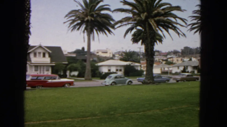 Residential San Francisco street in 1963 with palm trees, a broad lawn, houses, and parked vintage cars viewed from a shaded interior edge.