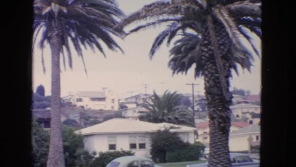 Closer 1963 San Francisco neighborhood view showing palm trunks, rooftops, a light-colored house, distant residences, and parked cars.