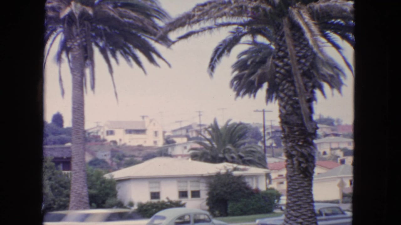 Palm trees and light-colored houses on a hillside street with parked cars.