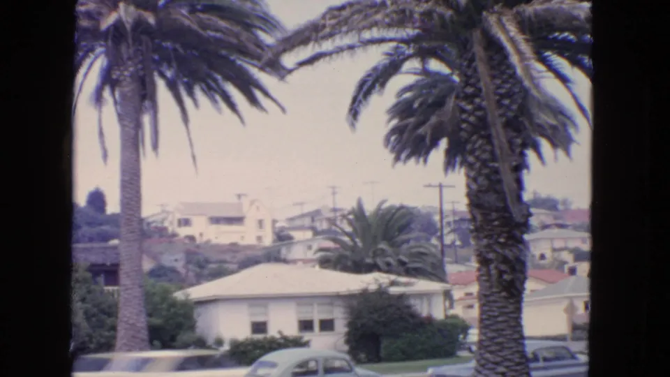 1963 San Francisco residential view with tall palm trees, hillside homes, utility poles, and parked mid-century cars.