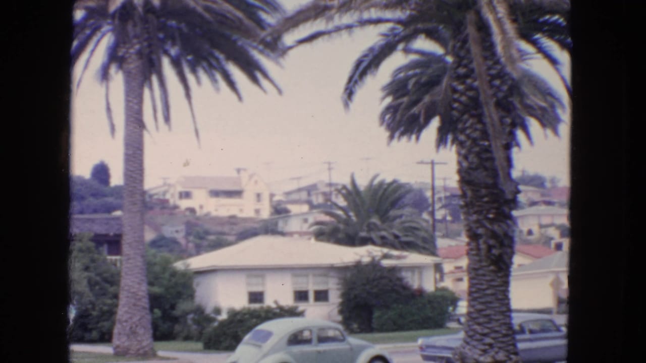 San Francisco hillside homes appear behind tall palm trees and parked cars in this 1963 8mm frame.