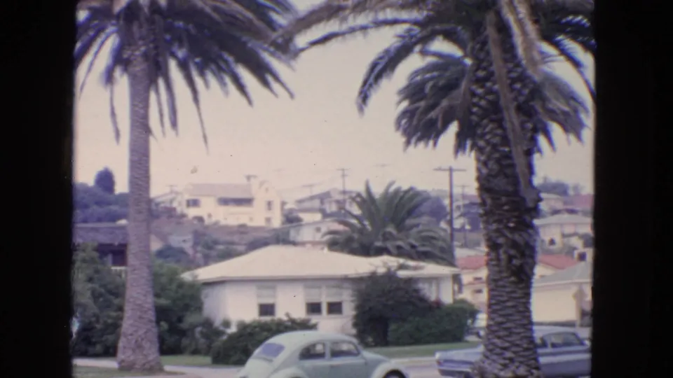 San Francisco hillside homes appear behind tall palm trees and parked cars in this 1963 8mm frame.
