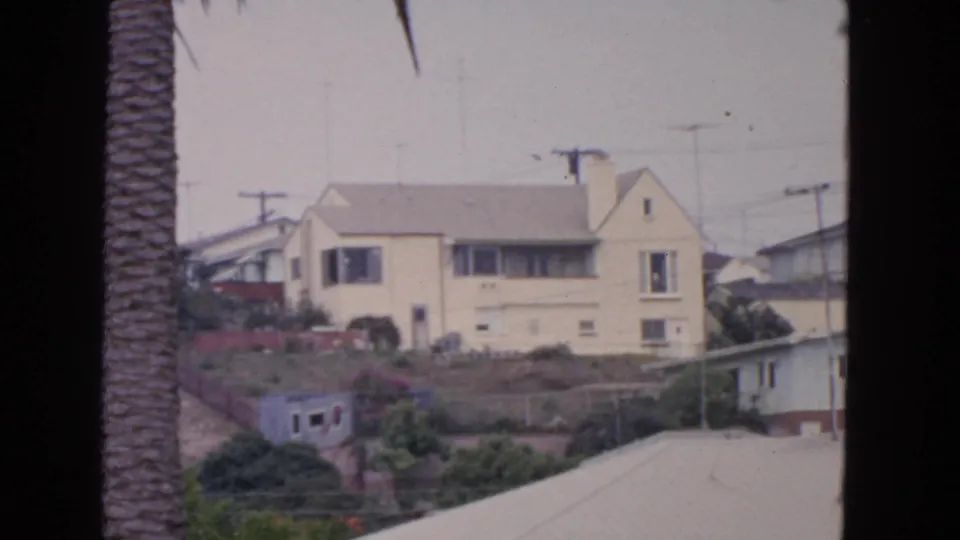 Soft 1963 8mm view of a San Francisco hillside residence framed by a palm trunk, rooftops, shrubs, and utility lines.