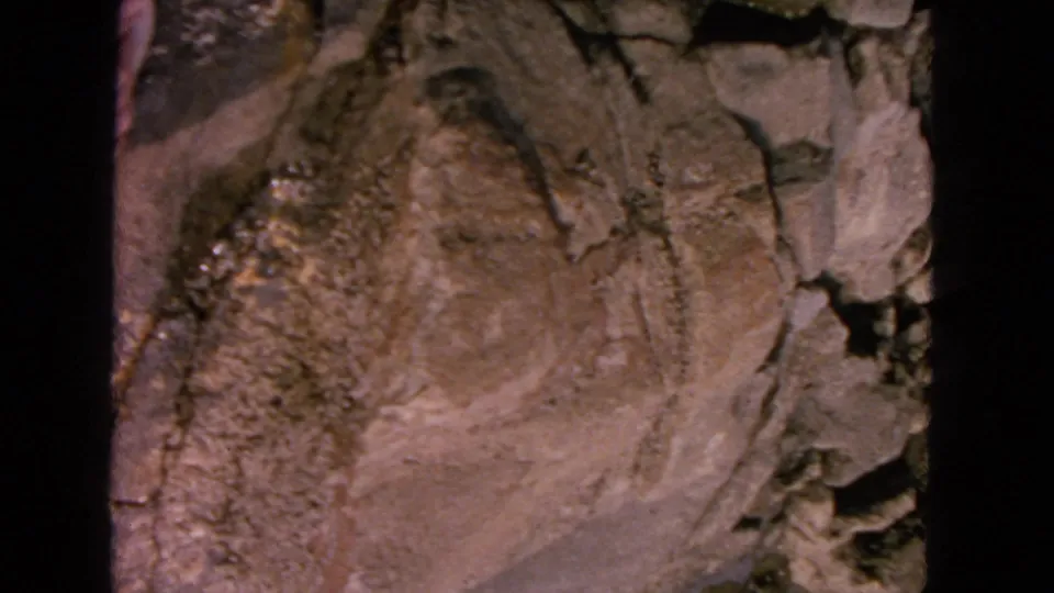 Close 8mm view of San Francisco coastal rock texture, with warm faded color and heavy grain.