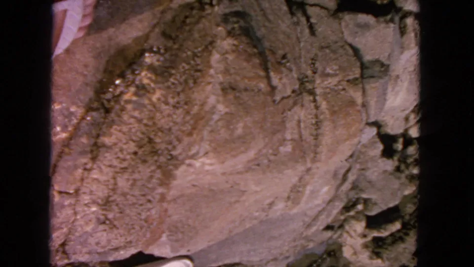 1963 San Francisco shoreline frame focused on eroded rock surface and crevices in faded 8mm color.