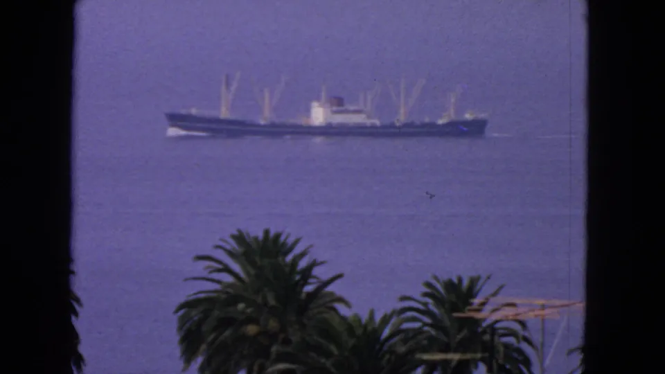 Distant ship on blue San Francisco Bay water, framed by foreground palms and the soft color of 1963 8mm home-movie film.