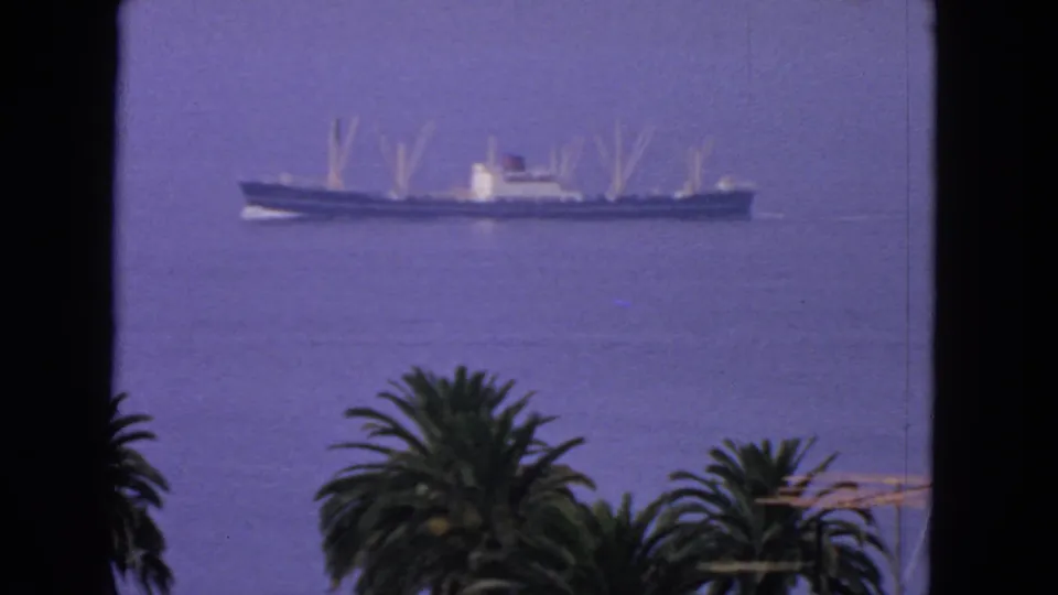 End frame of a 1963 San Francisco Bay view, with a long ship on calm water behind palms and a dark vertical window edge.