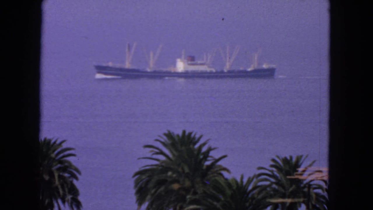 Distant ship on calm water above palm trees, framed by dark vertical edges.