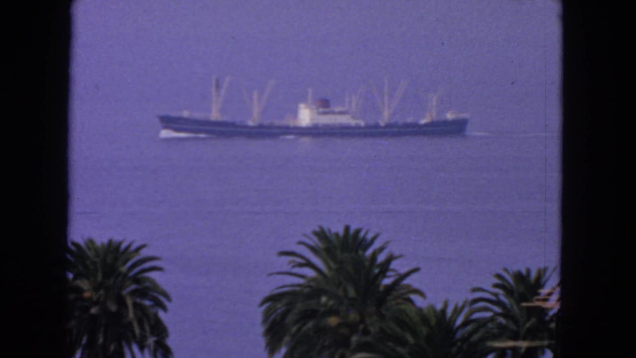 Distant ocean liner or cargo vessel on calm coastal water, with palm trees below and 8mm color shift visible in the frame.