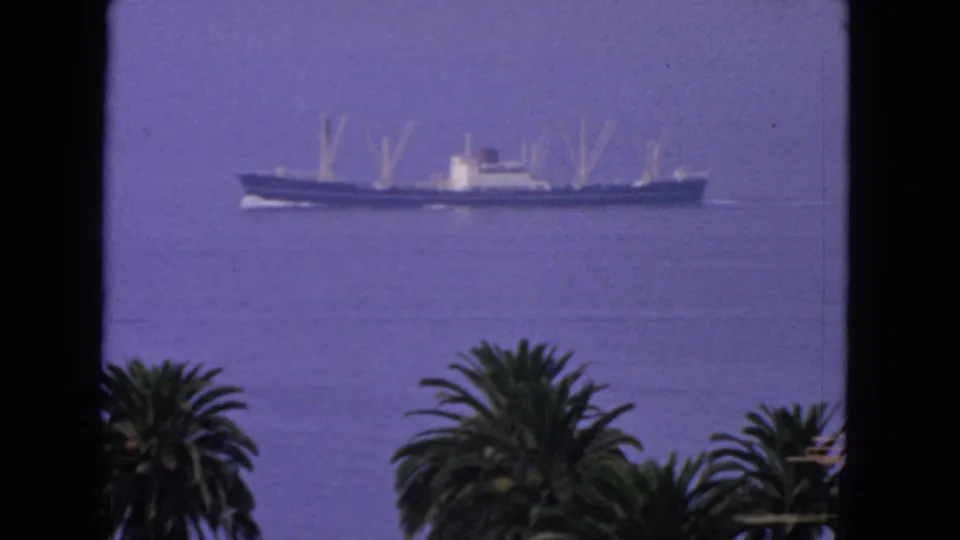 Distant ocean liner or cargo vessel on calm coastal water, with palm trees below and 8mm color shift visible in the frame.