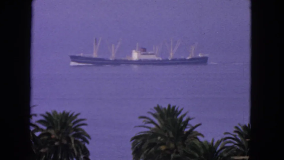 Palm-framed 1963 coastal view of a distant ship moving across calm water, with soft focus and saturated 8mm color.