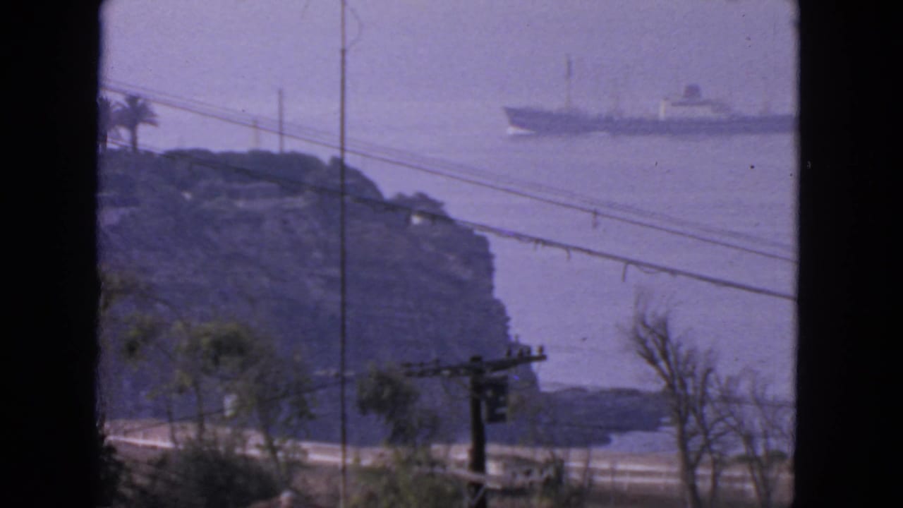1963 San Francisco coastal frame with a large ship on hazy water, a dark rocky point, roadside wires, and palm foliage in front.