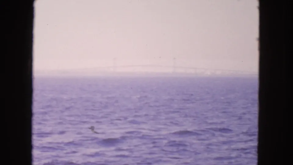 A late frame from the 1963 San Francisco Bay clip shows purple-blue water, haze, and a distant bridge span near the horizon.