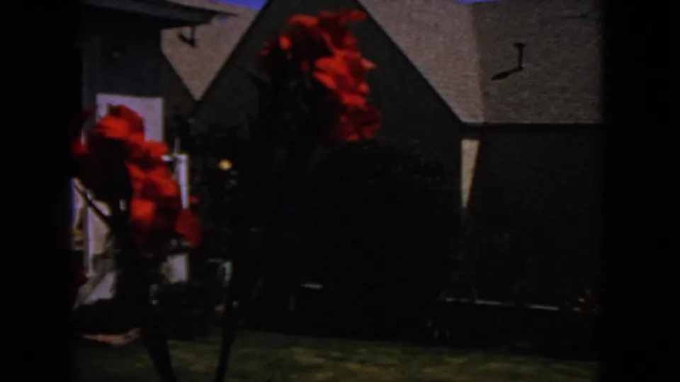 Red flowers partially frame a shaded residential house exterior in this 1963 San Francisco home-movie frame.