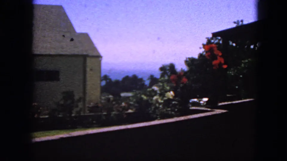 1963 San Francisco frame of a backyard garden, pale house wall, red flowering plants, and bright sky within film borders.