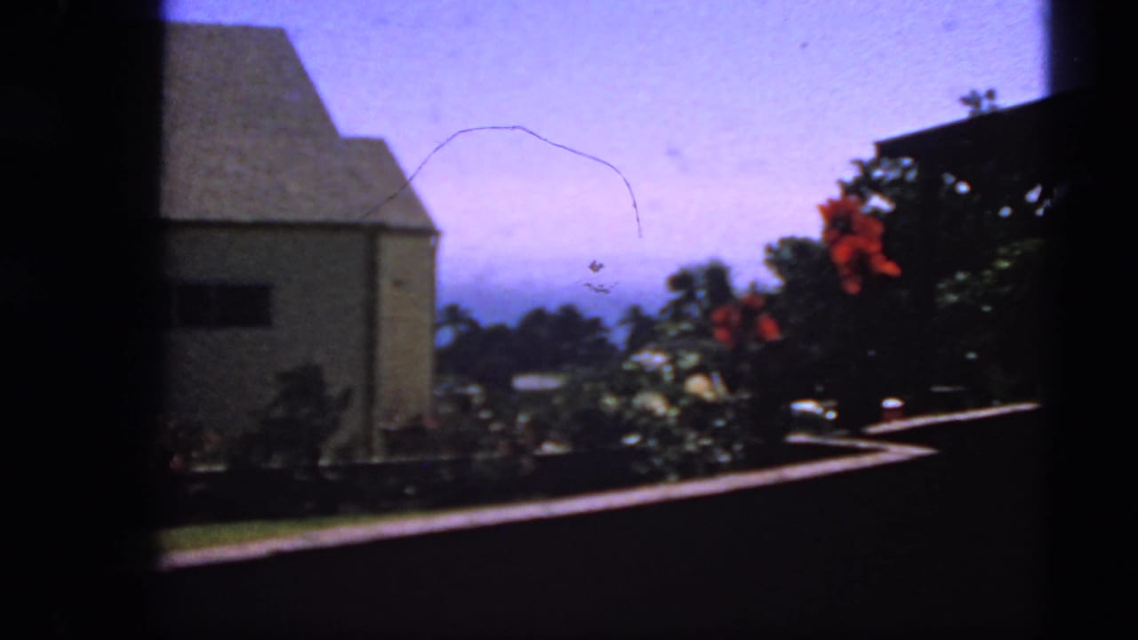 Light-colored house and garden seen through dark foreground framing with distant water beyond.