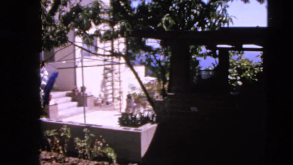 1963 San Francisco residential exterior with bright patio steps, trellis beams, leafy branches, and deep shaded framing.