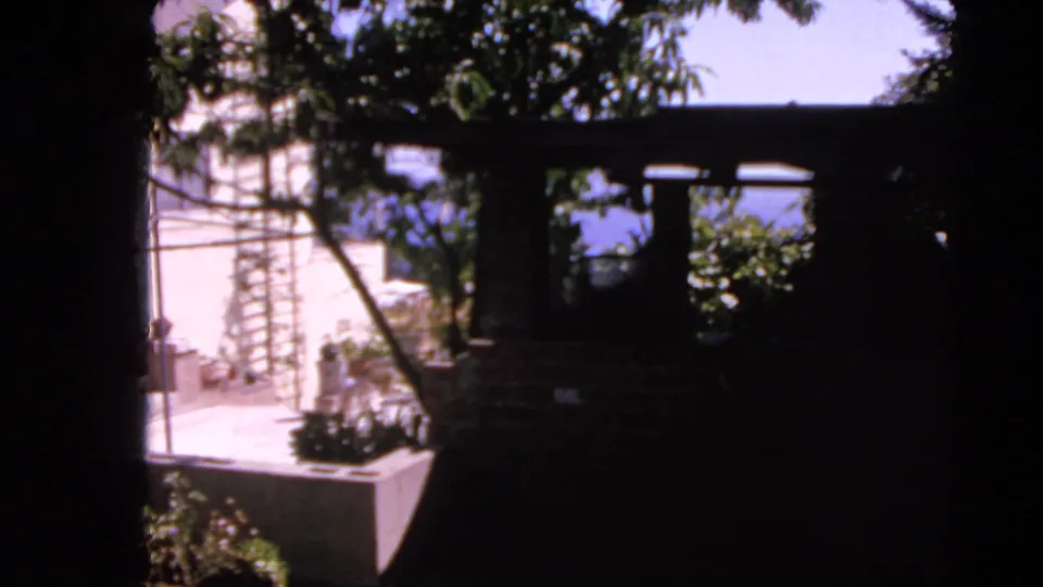 1963 San Francisco exterior frame with shaded trellis beams, leafy garden growth, a bright patio edge, and distant water.