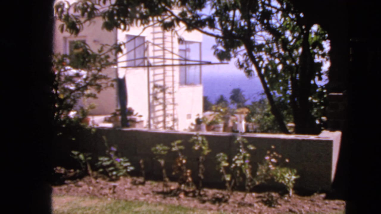 White house exterior with clothesline supports, trees, low wall, and garden plants seen from shade.