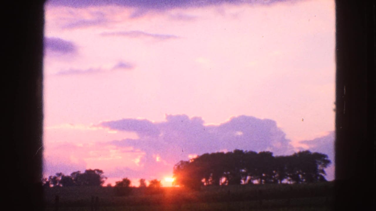 Low orange sun emerging beside a dark treeline beneath a pink cloudy sky.