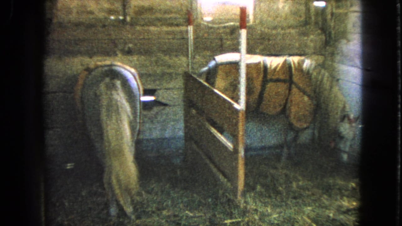 1963 Walworth, Wisconsin barn frame with a blanketed horse in a wooden stall and hay on the floor.
