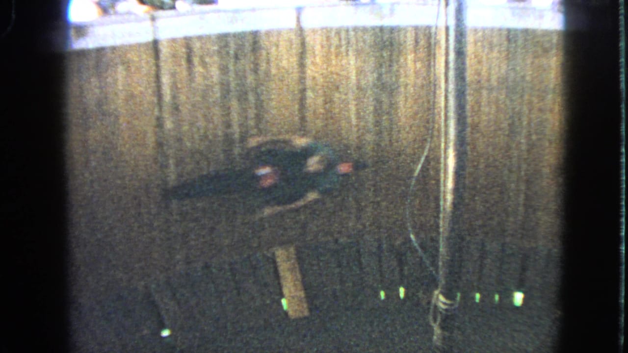 Motorcycle rider travels along the wooden wall inside the circular stunt structure.