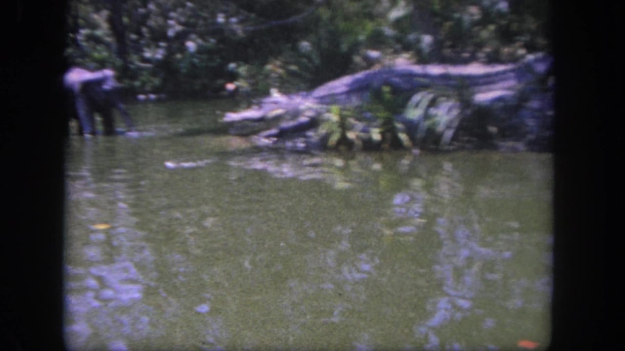 Boat-view frame from the Disneyland jungle ride area, with murky green water, rocks, foliage, and a distant human figure or prop near the bank.