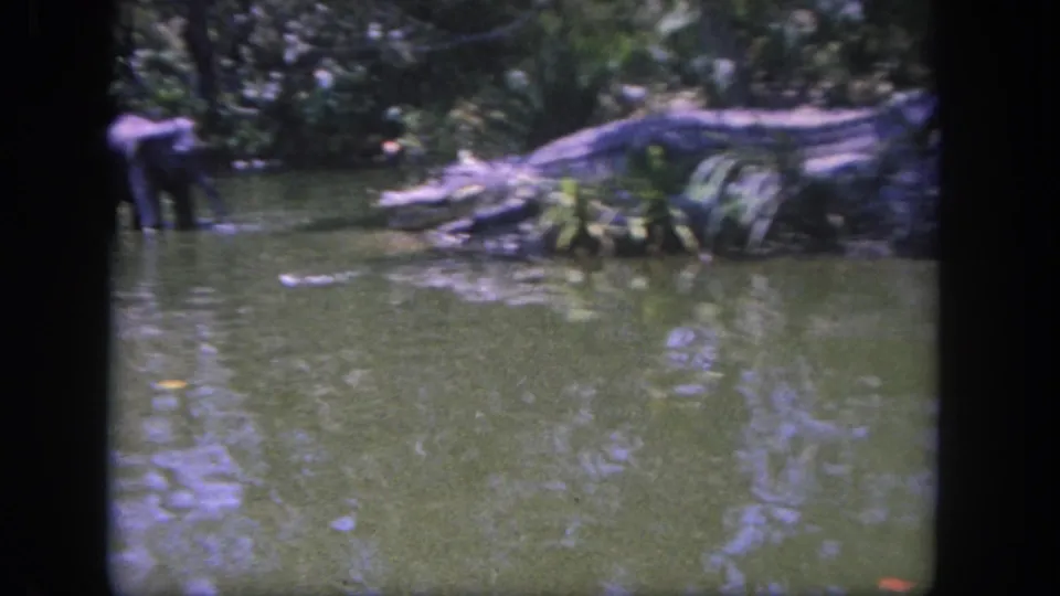 Boat-view frame from the Disneyland jungle ride area, with murky green water, rocks, foliage, and a distant human figure or prop near the bank.