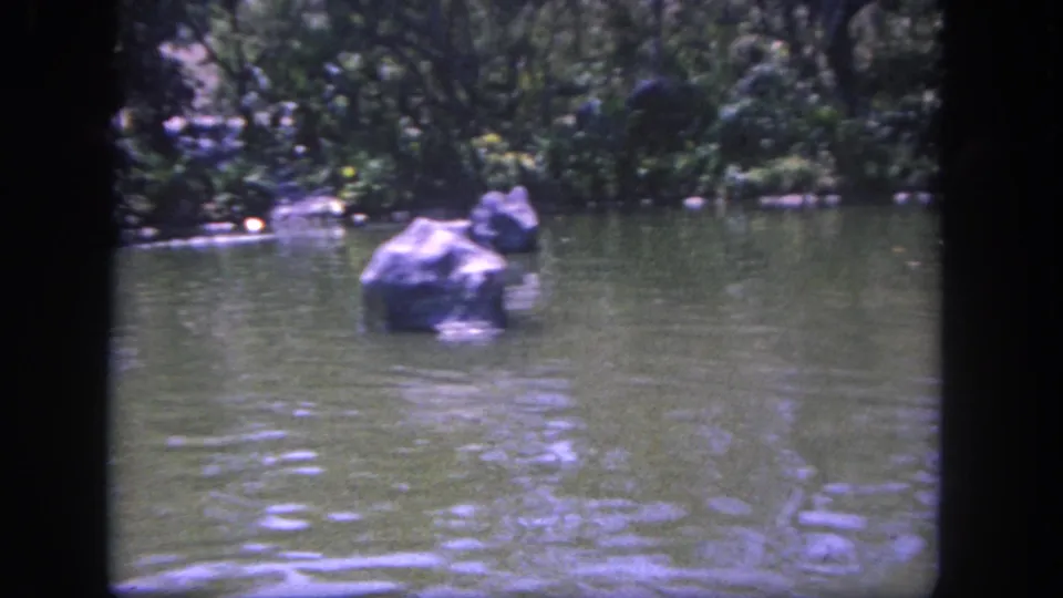 Final frame of the Disneyland ride waterway, showing green water, artificial rocks, dense planting, and a pale figure or rock near the bank.