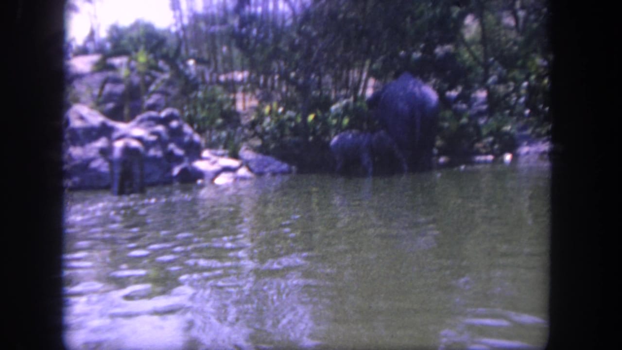 Rocky pond habitat with an elephant near the right bank.