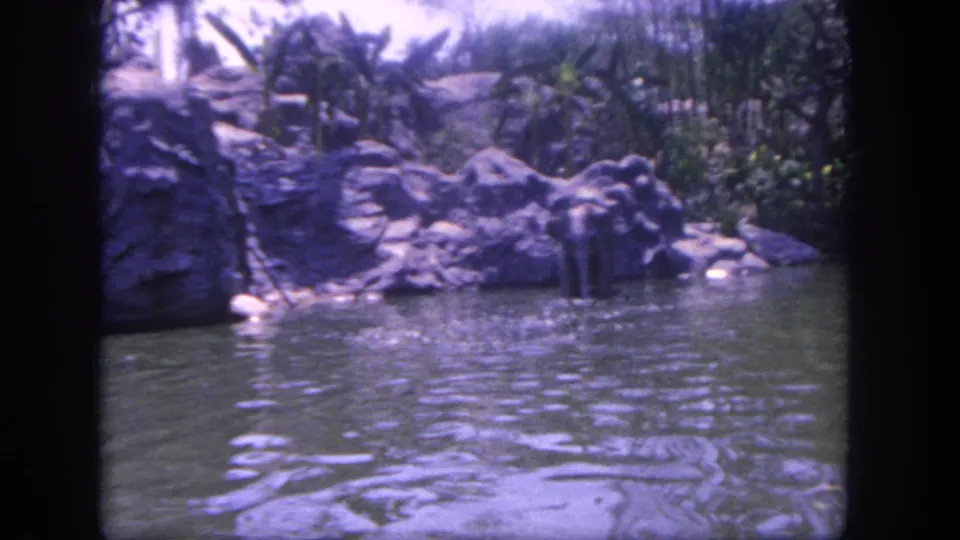1962 Disneyland frame showing elephants near a rock-lined pond edge, with tropical planting and soft 8mm color.