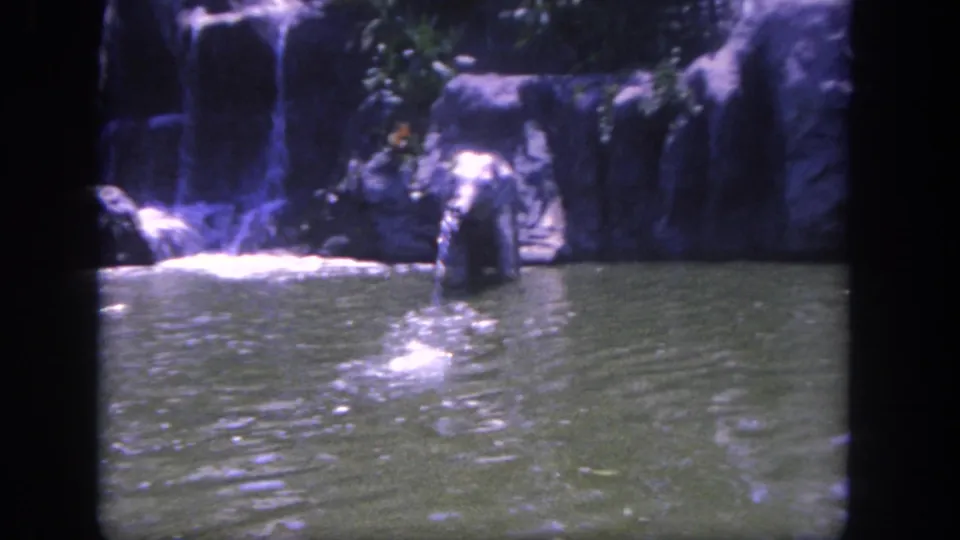 1962 Disneyland home-movie frame with an elephant in the pond beside artificial rocks and a small waterfall feature.